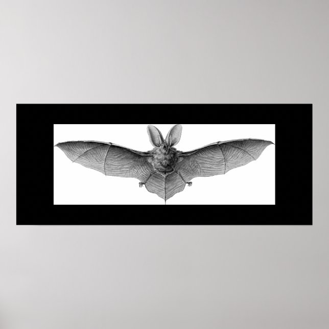POSTER BAT (Frente)