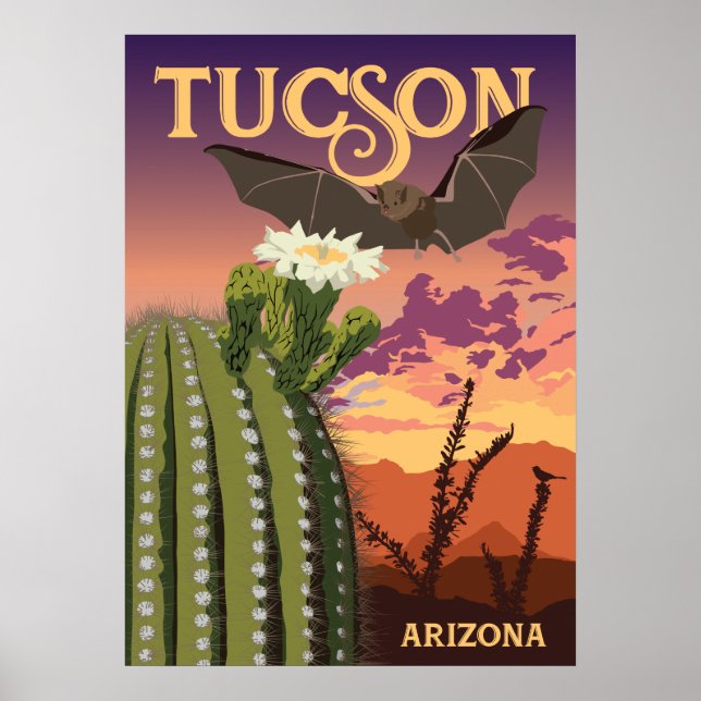Poster Bat e Saguaro de 28"x20" - Tucson, Arizona (Frente)