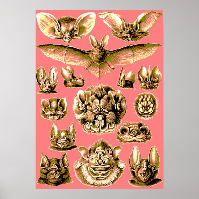 Poster Bat Face (Frente)