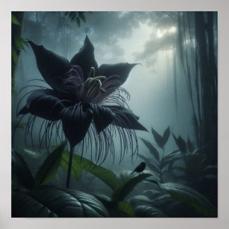 Poster Bat Flower Among Rare Tropical Plants 