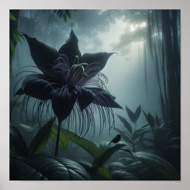 Poster Bat Flower Among Rare Tropical Plants  (Frente)