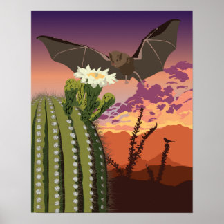Poster Bat Sudoeste e Saguaro de 20"x16"