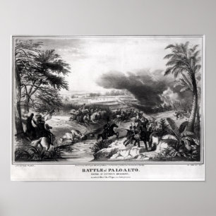 Póster Batalha de Palo Alto