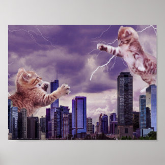 Poster Batalha dos Gatos