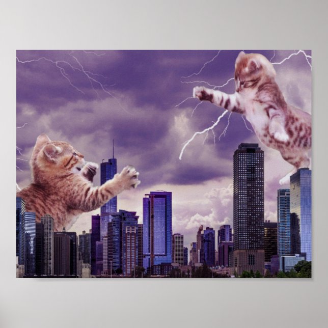 Poster Batalha dos Gatos (Frente)