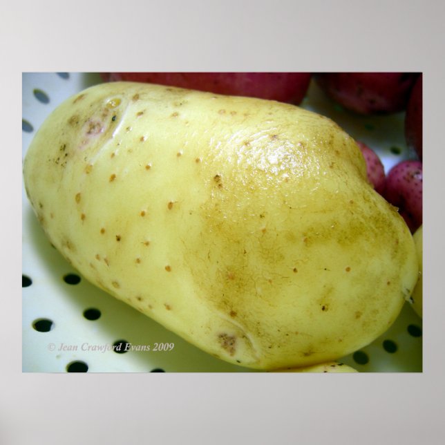 Poster Batata Dourada Yukon (Frente)