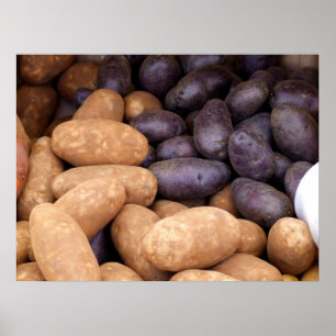 Poster Batatas
