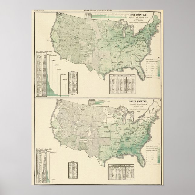 Póster Batatas irlandesas e doces e feno (Frente)