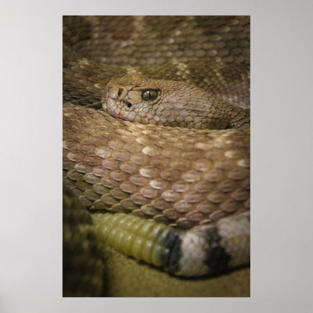 Poster batedor (Frente)