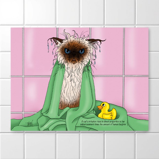 Póster Bath Time Cat (Criador carregado)