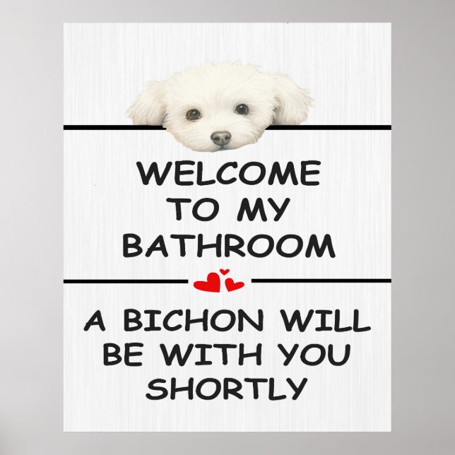 Poster Bathroom Bichon Frise (Frente)