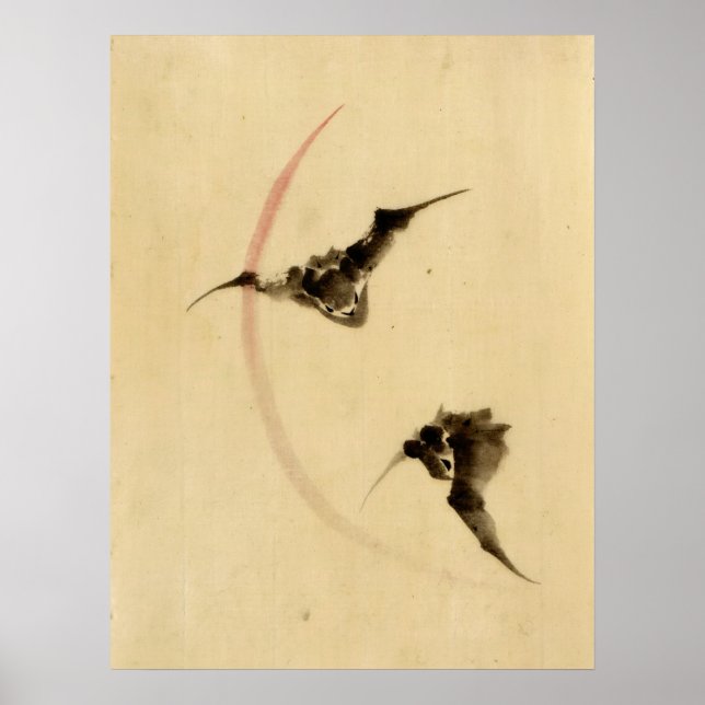 Poster Bats Voando 1840 (Frente)