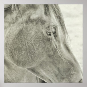 POSTER BAY BEAUTY 24x24