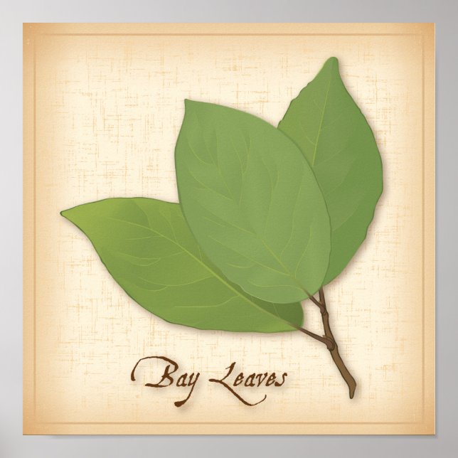 Póster Bay Leaves (Frente)