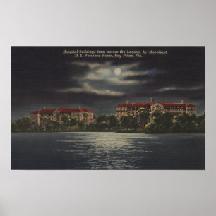 Póster Bay Pines, Flórida - Vista lunática do Hospital