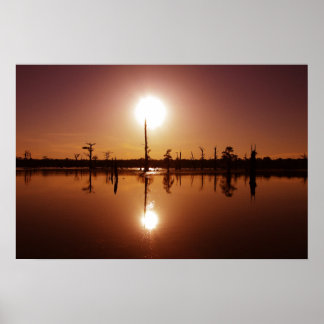 Poster Bayou Sunset