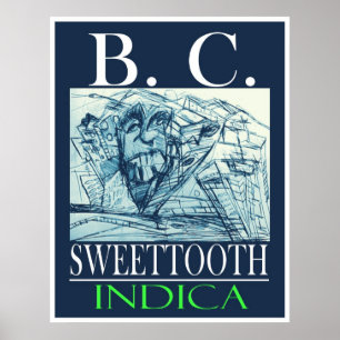 PÓSTER BC DOCE INDICA