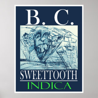 PÓSTER BC DOCE INDICA