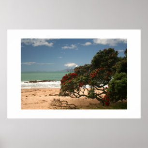 Poster Beach Bliss - Árvore Pohutukawa