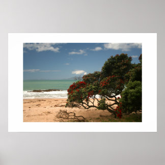 Poster Beach Bliss - Árvore Pohutukawa