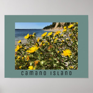 Poster Beach Camano Island Washington Photograph