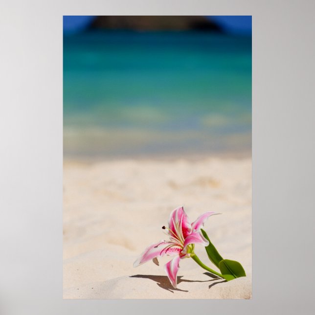 Póster Beach Lily 24x36 art print (Frente)