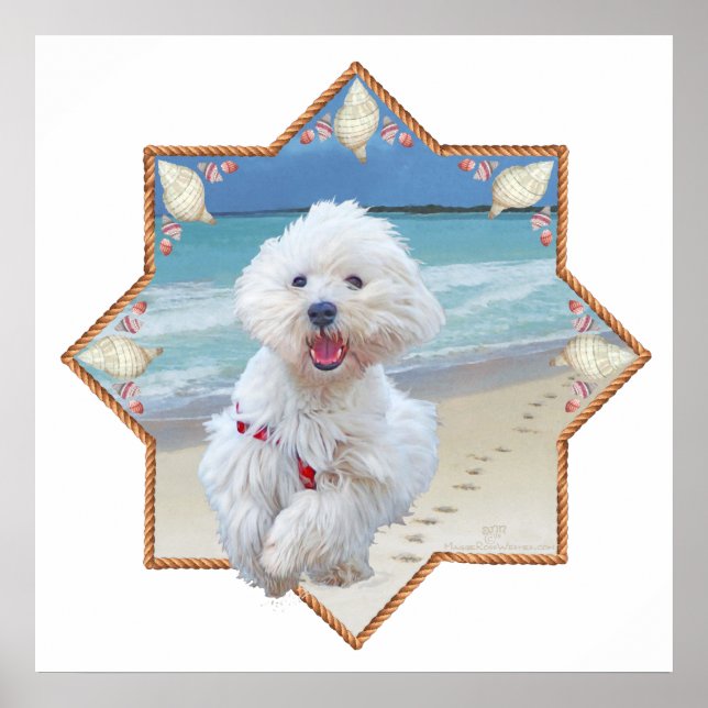 Póster Beach Run (Frente)