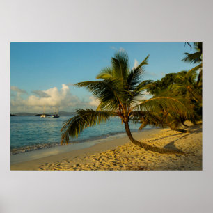 Póster Beach scenic