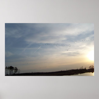 Poster Beach Sky