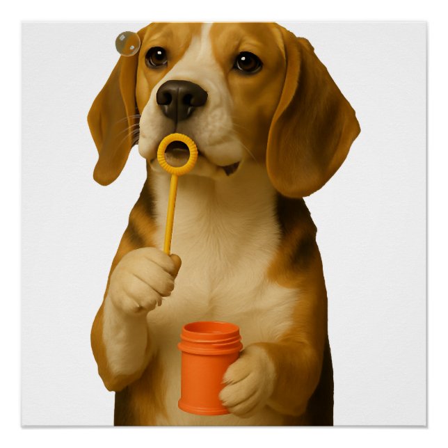 Póster Beagle           (Frente)