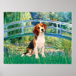 Póster Beagle1 - Ponte do Lago de Lírios