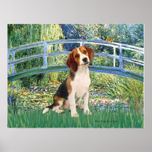 Póster Beagle1 - Ponte do Lago de Lírios (Frente)