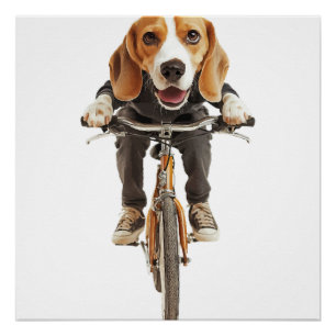 Póster Beagle Cópia Cópia Cópia
