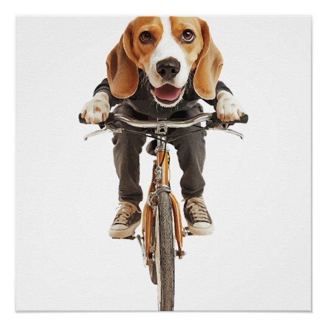Póster Beagle Cópia Cópia Cópia (Frente)