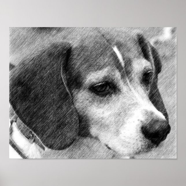 Poster Beagle Dog Face Pencione Art #2 (Frente)