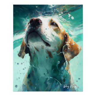 Póster Beagle dog swimming in water 002