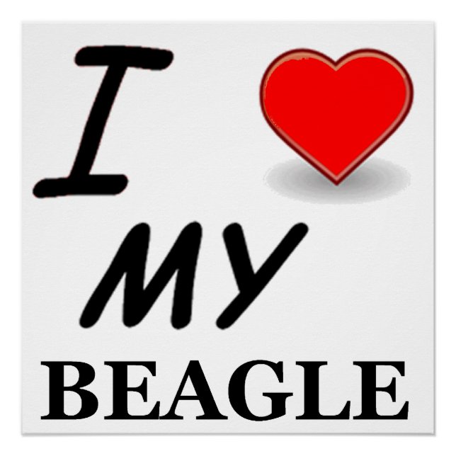 Póster beagle love (Frente)