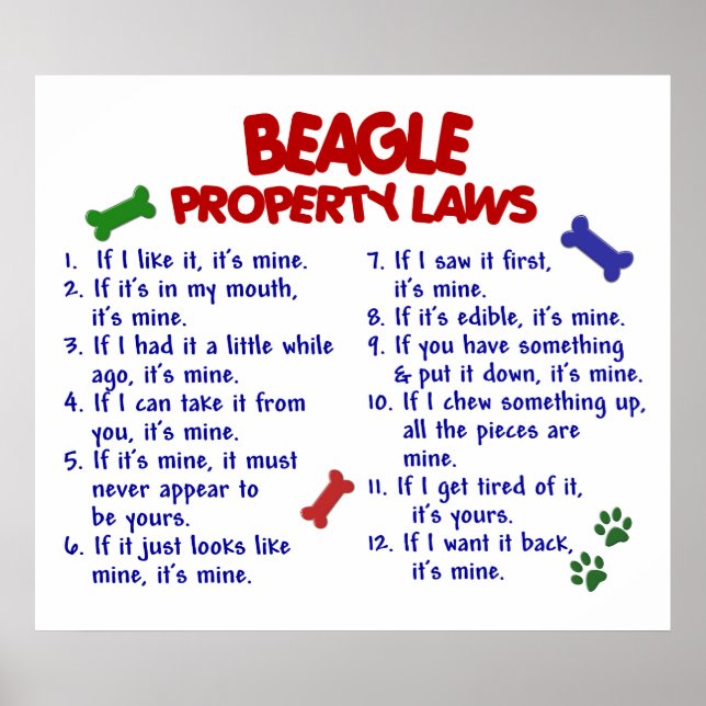 POSTER BEAGLE PL2 (Frente)