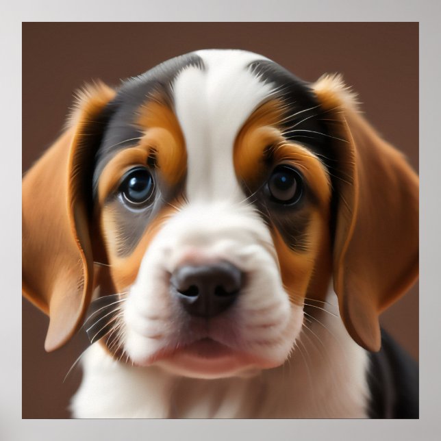 Poster Beagle Puppy (Frente)