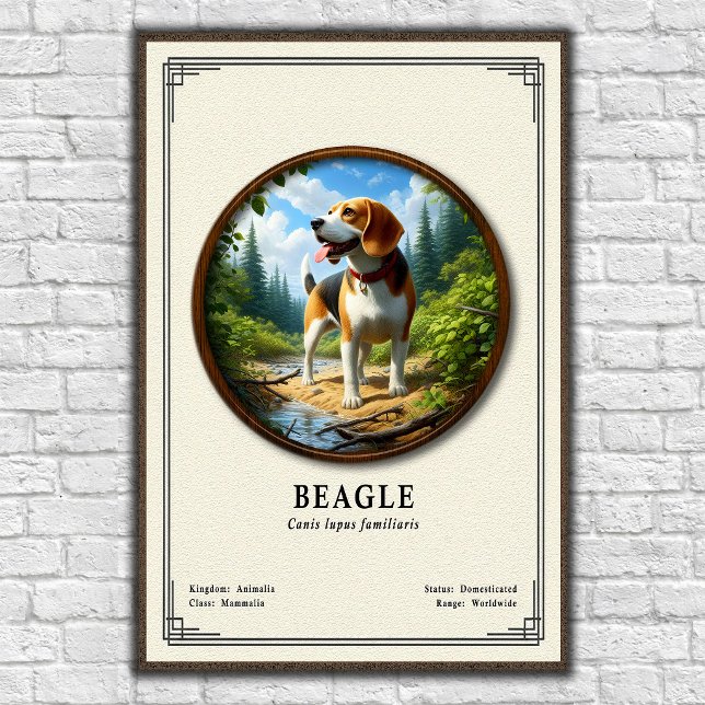 Poster Beagle Zoology Series (Criador carregado)