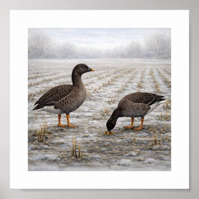 Poster Bean Geese in a Winter Field – Japanese Wild Bird (Frente)