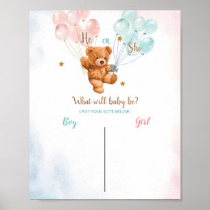 Poster Bear Boy ou Girl Voting Conselho Raça Festa de Re
