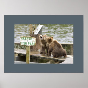 Póster Bear Cubs Guarda Memórias Amor Destino