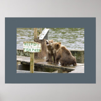 Póster Bear Cubs Guarda Memórias Amor Destino