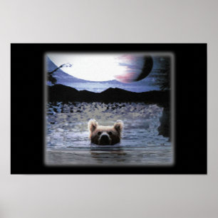 Poster Bear Planet