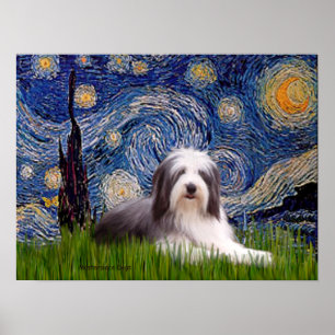 Póster Beardie 2 - Noite estelar