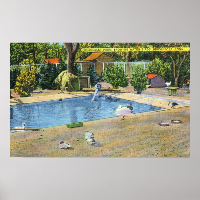 Poster Beardsley Park View of Waterbird (Frente)
