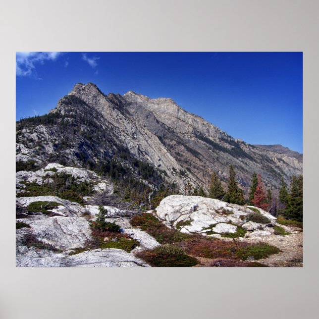 Poster Bears Hump I (Frente)