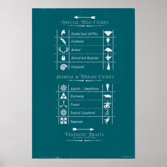 POSTER BEASTAS FANTÁSTICOS E ONDE ENCONTRÁ-LOS (Frente)