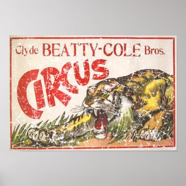 Poster Beatty Cole Circus - 1903 - angustiado (Frente)